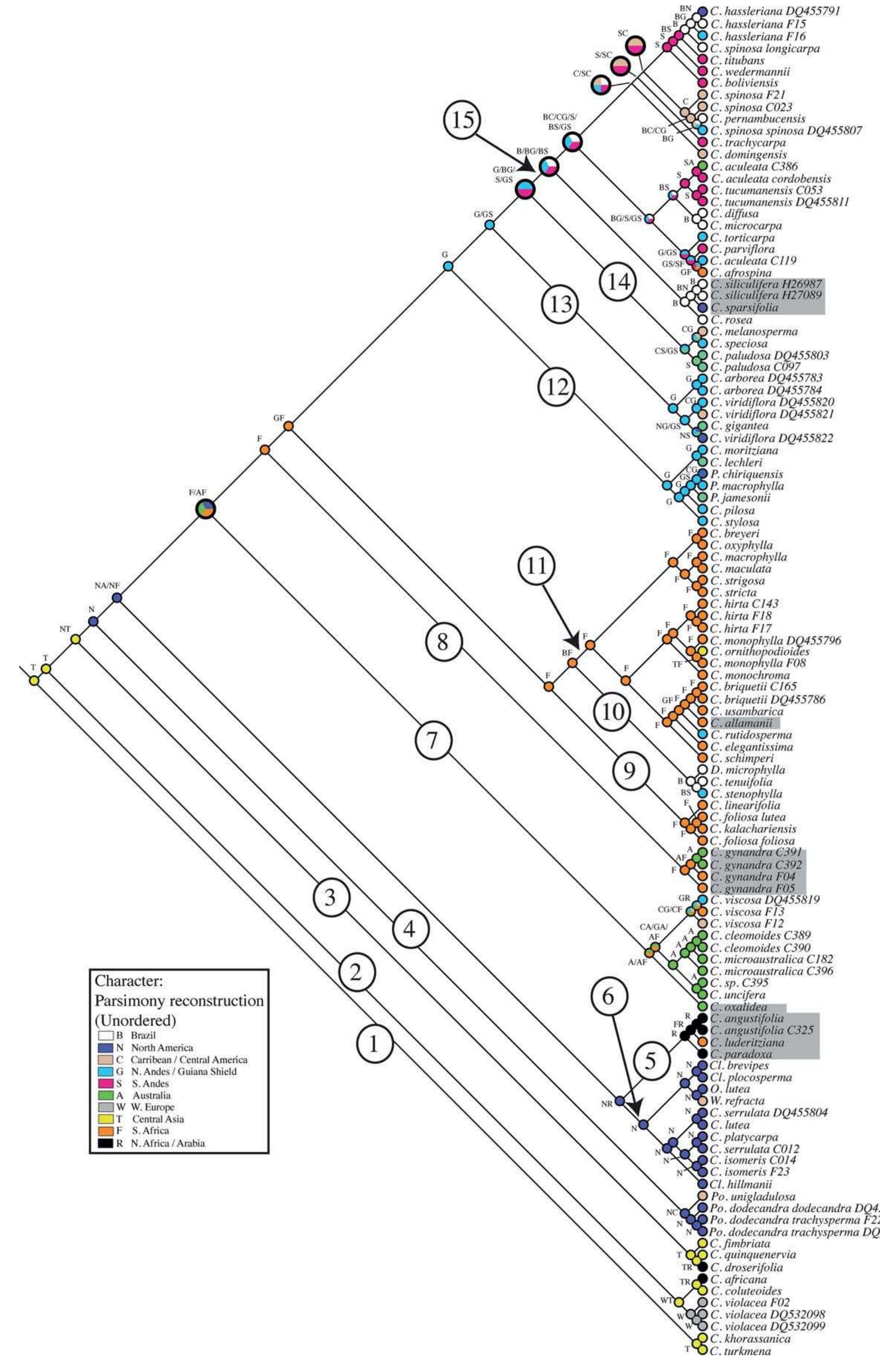 Figure 5 - from Biogeographic Patterns of Diversification