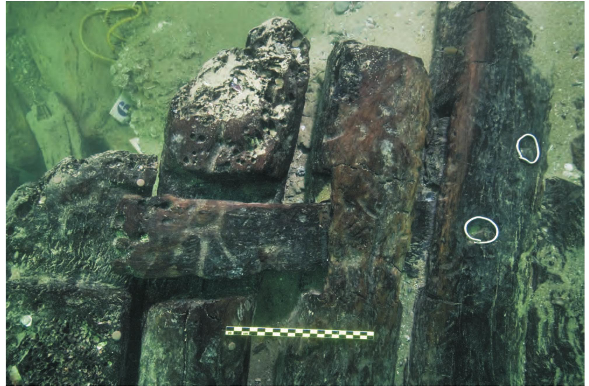 Figure 10.5 Fragment of the planking showing two adjacent tenons in the stern area of Thonis-Heracleion ship 17. (Photo: C. Gerigk; © F. Goddio/Hilti Foundation.) 