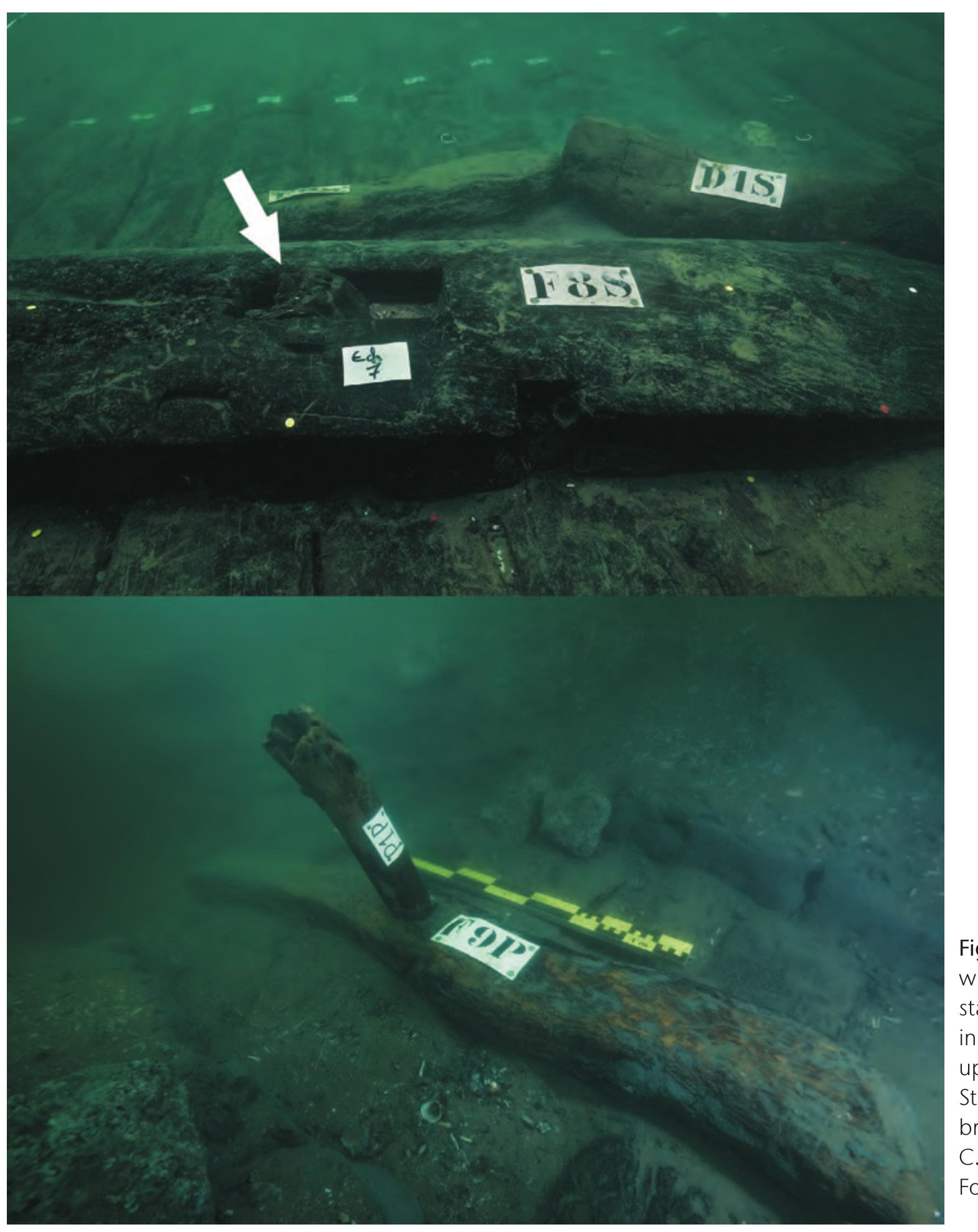 between the text and the archaeology. Bracing timbers were attached to the planking by tenons of rectangular section (in the majority of cases) that do not go through the planking. With two exceptions, the bracing timbers were not connected to the keel. They possess a variety of different sections, but those with a polygonal section are predominant. It seems that the bracing timbers were installed in the specific areas, that required reinforcement in the shipbuilder’s opinion.” It can not be excluded either that these pieces were added one by one in the most vul- nerable areas after the ship was already in use.”  It may have happened that Herodotus saw the con- struction of a smaller baris” and that larger ones would have used ribs, whereas the smaller ones would not have had any frames because the internal tenons of the plank- ing (that are de facto frames for a construction of this type) were quite sufficient for maintaining the transver- sal strength of the hull. Frameless vessels did in fact exist during earlier periods of Egyptian history, for example, the Dashur boats were constructed without frames. 
