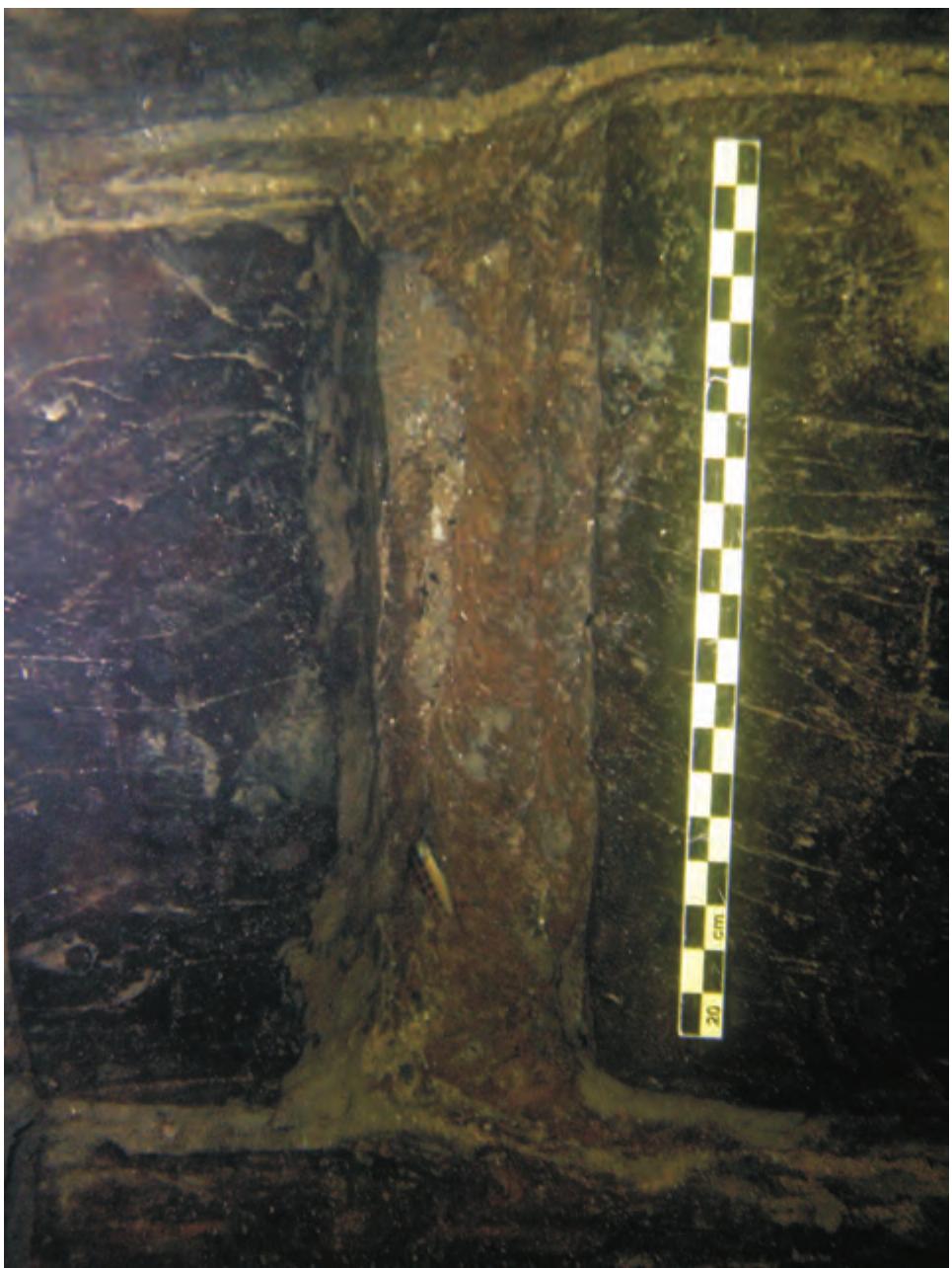 Figure 10.8 Vegetal material found in the joints of the planking of Thonis-Heracleion ship 17 as seen from the inside of the hull. (Photo: A. Belov; © F. Goddio/Hilti Foundation.) 