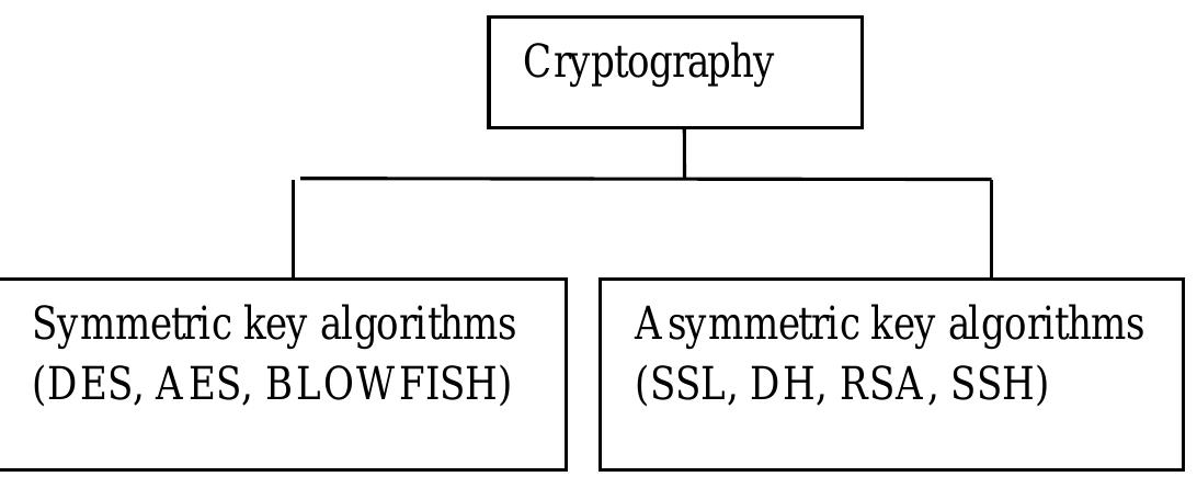 (PDF) A Symmetrical key Cryptography Analysis using Blowfish Algorithm