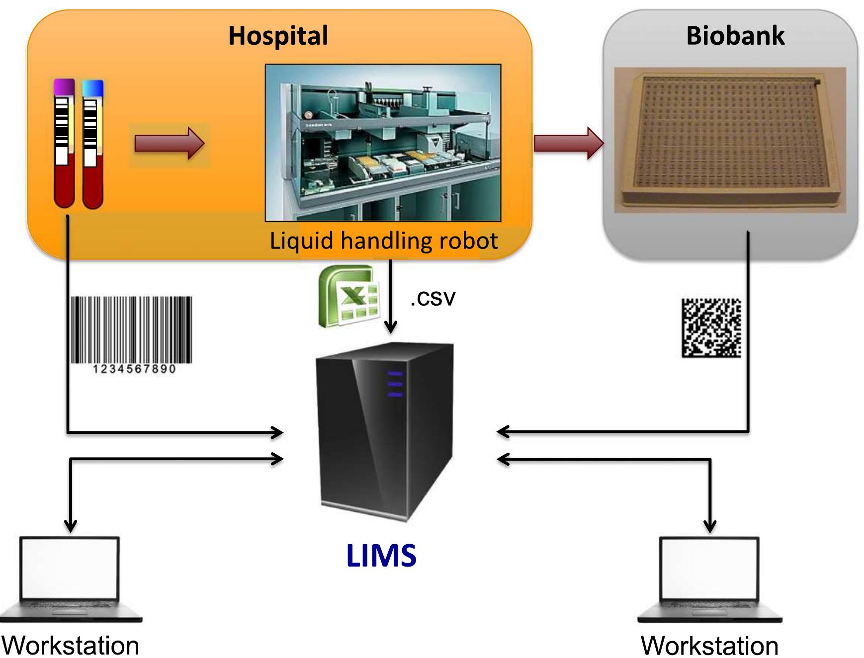 (PDF) Large scale biobanking of blood - The importance of high density ...