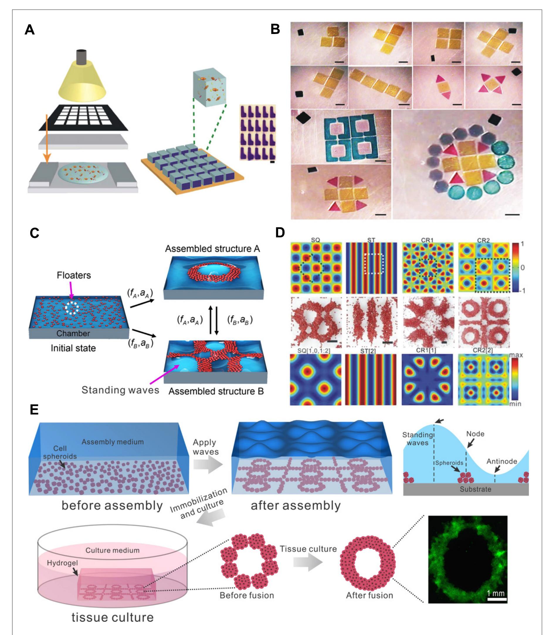 Hydrogel Patterning Schematic illustration of bioprinting approaches. (a)
