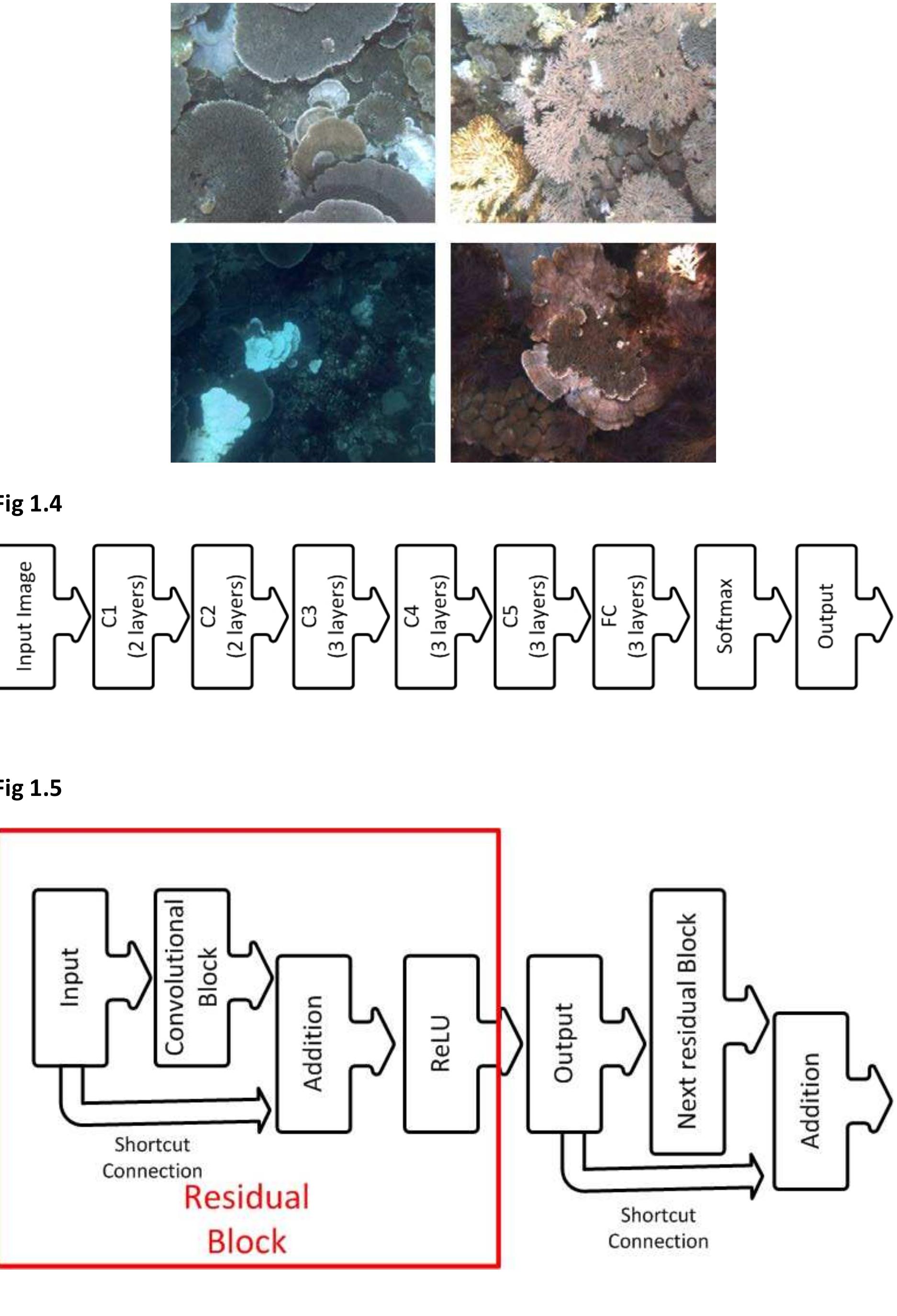 (PDF) Deep Learning for Coral Classification