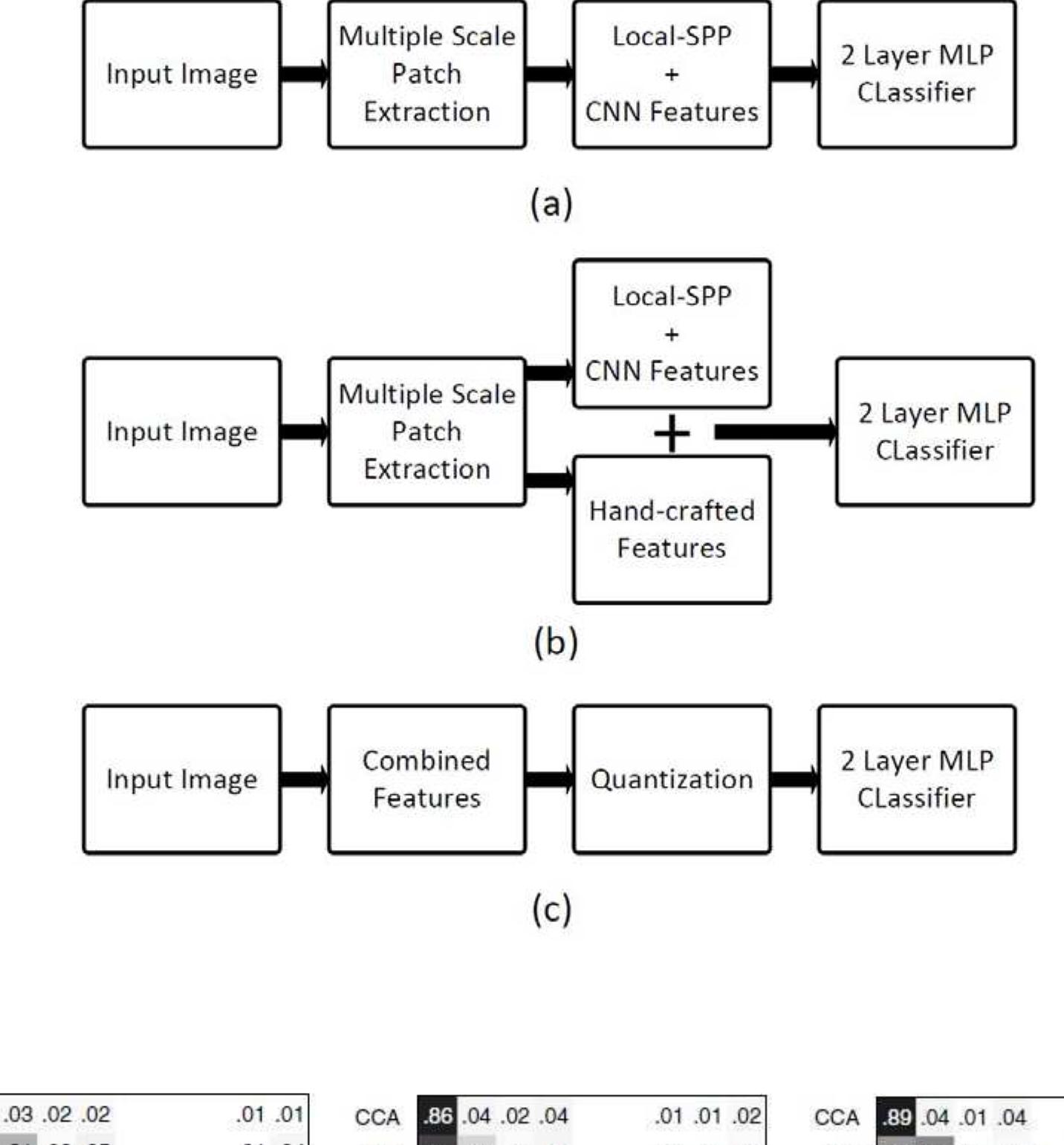 (PDF) Deep Learning for Coral Classification