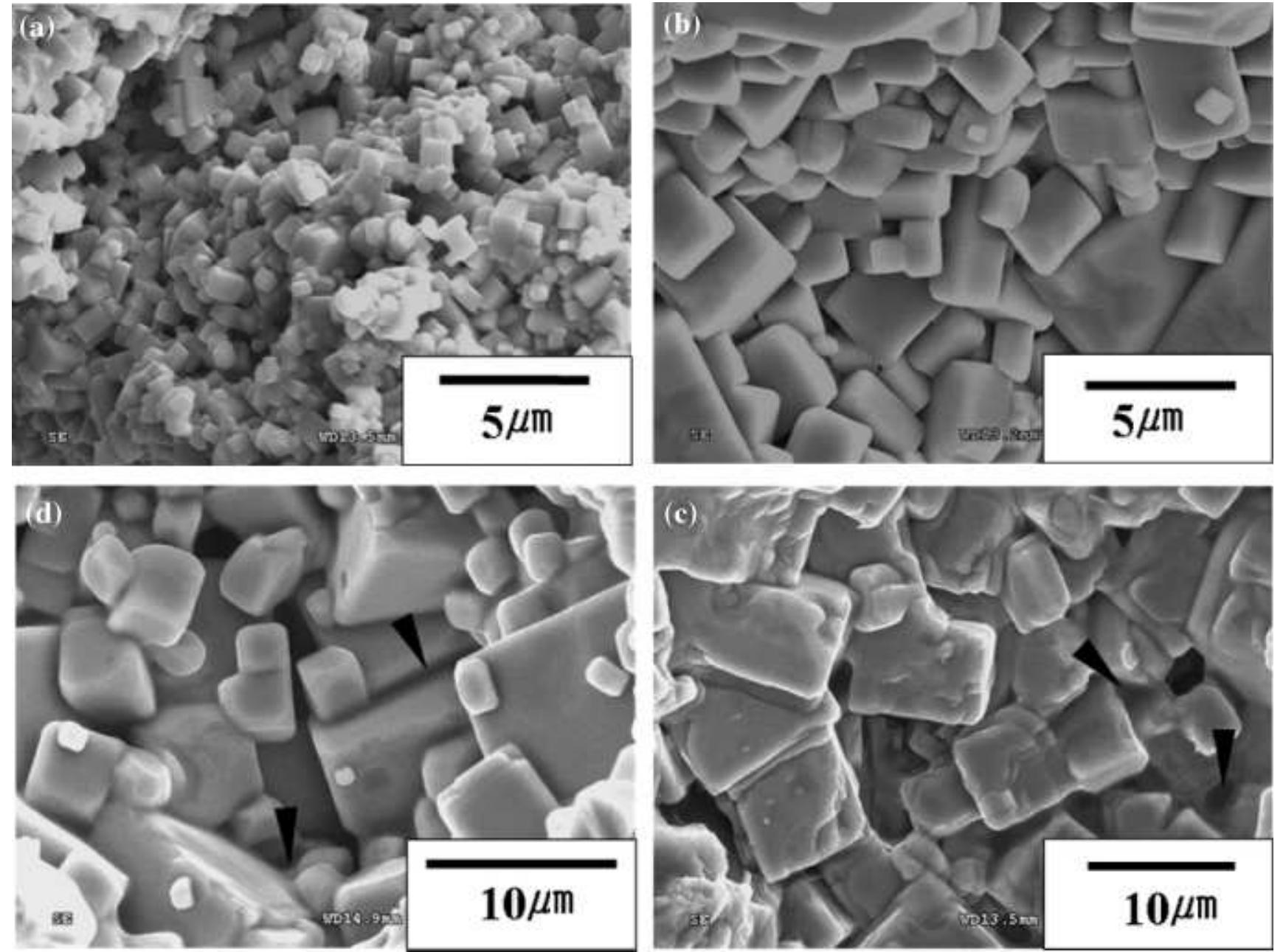 Scanning electron microscopy images of the fractured surface
