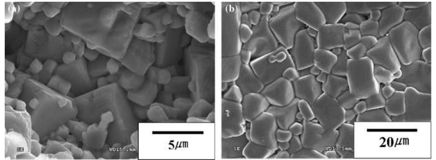 Scanning electron microscopy images of the fractured surface