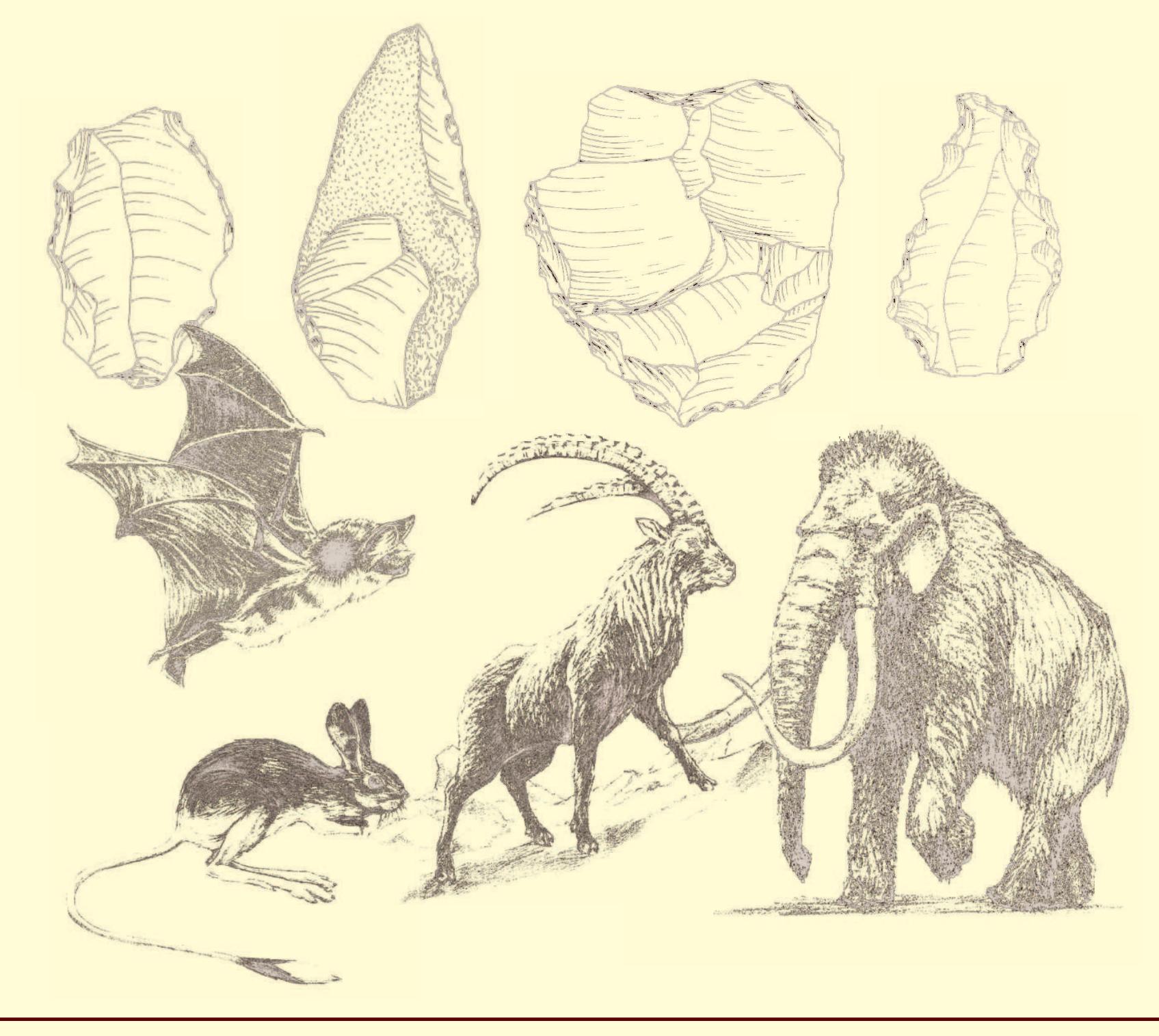 Figure 1 - from Early Pleistocene fauna and sediments of the