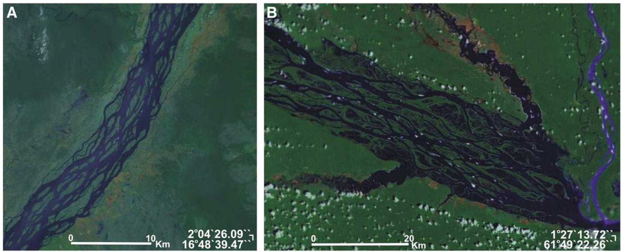 (PDF) Patterns of anabranching channels: The ultimate end-member ...
