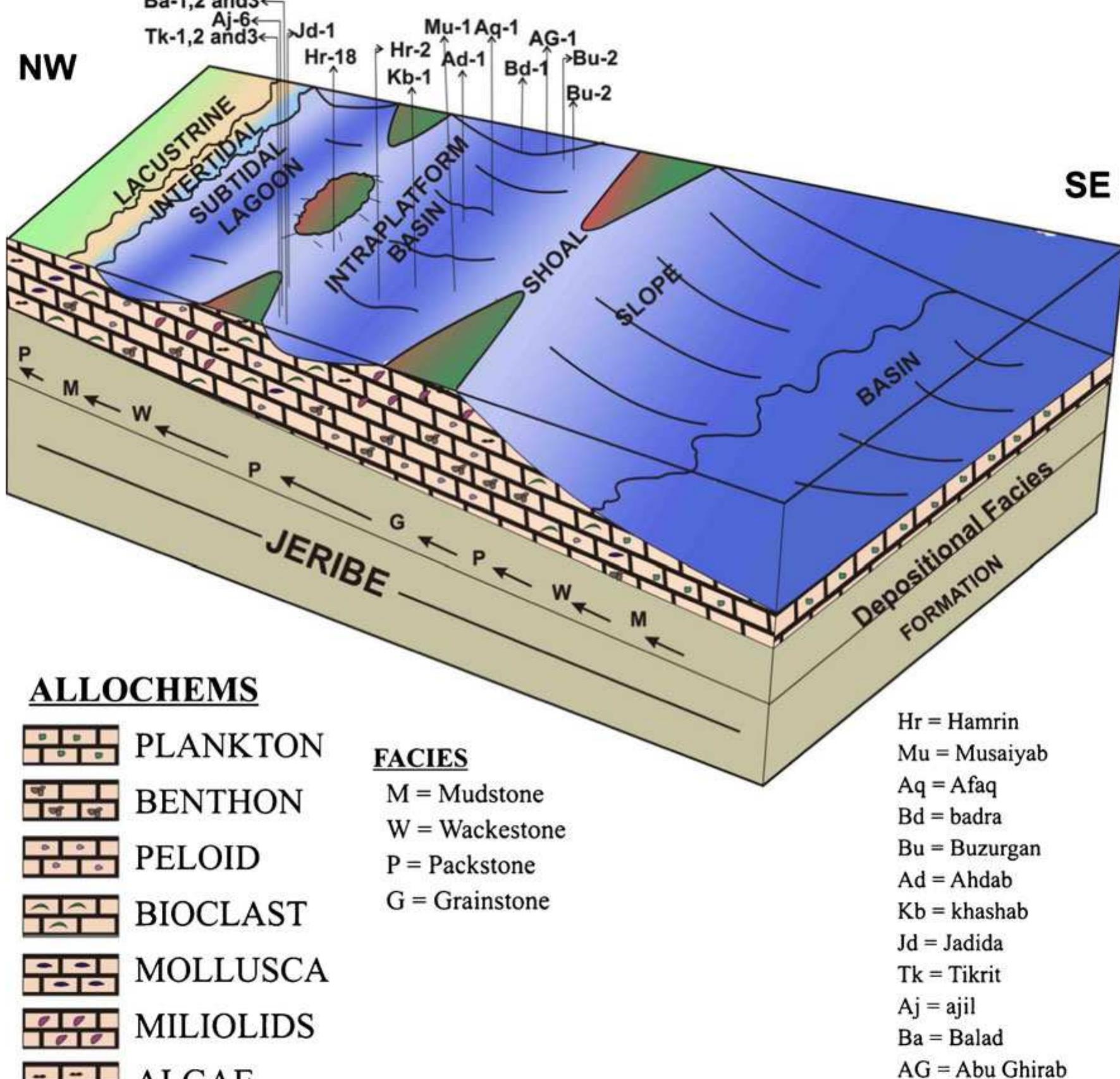 (PDF) Facies, depositional environment and diagenetic processes of the ...