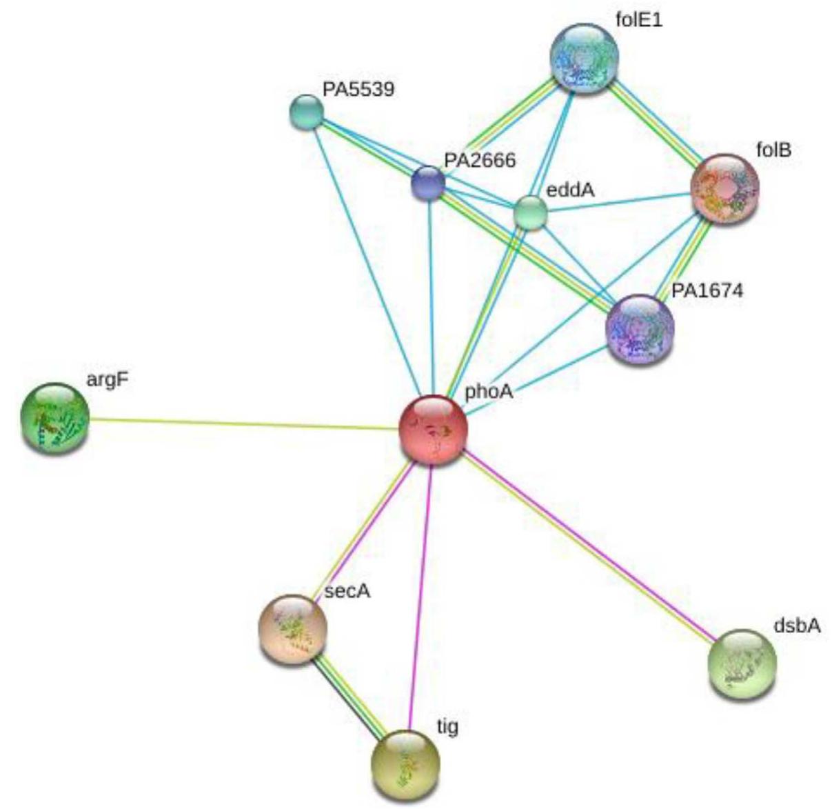 (PDF) An in silico structural, functional and phylogenetic analysis ...