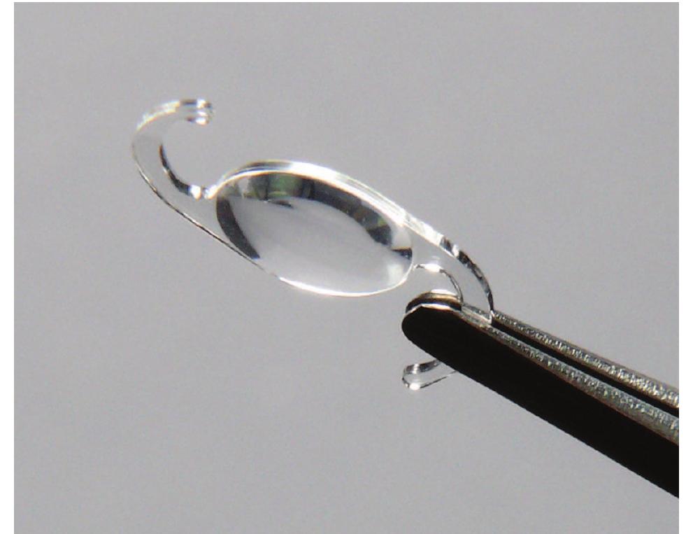 (PDF) Softec HD hydrophilic acrylic intraocular lens: biocompatibility ...