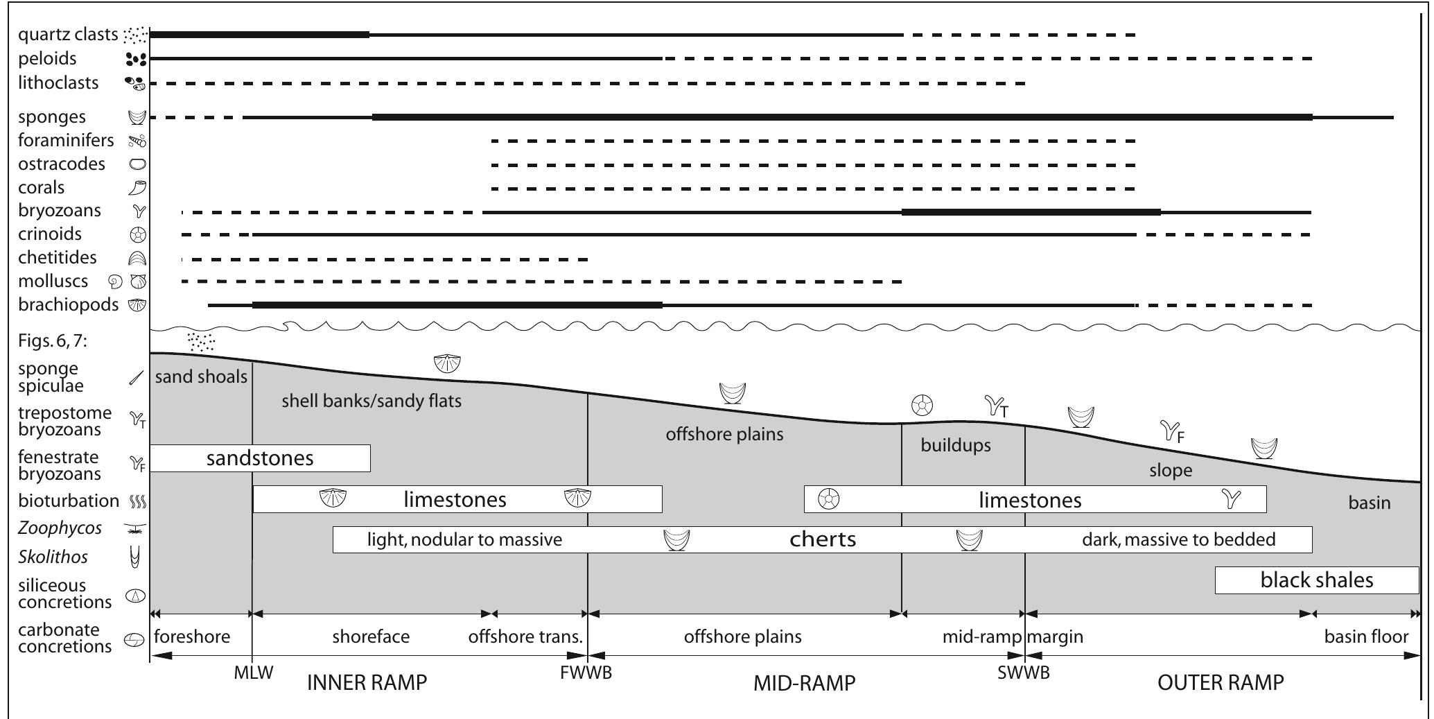 Schematic shelf model for the kapp starostin formation in ne