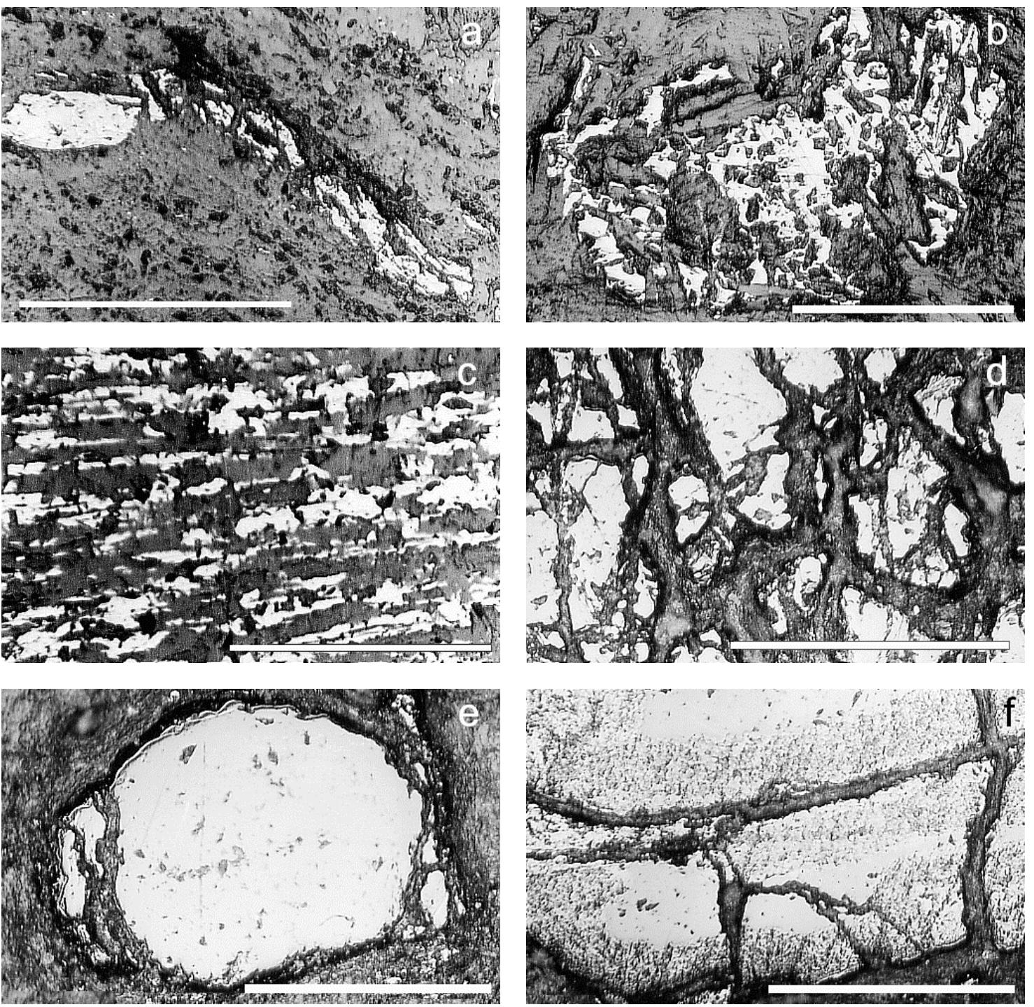(PDF) Origin of Magnesite Veins in Serpentinites from Mount El-Rubshi ...