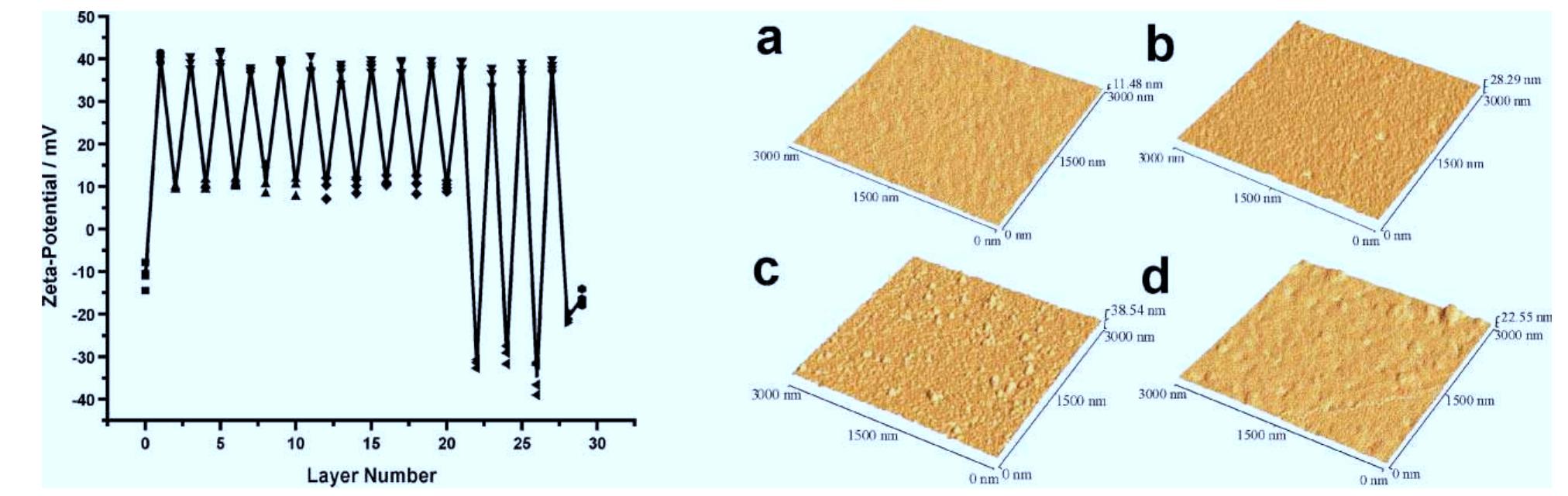 Left: schematic sections through (1) microspheres with 5