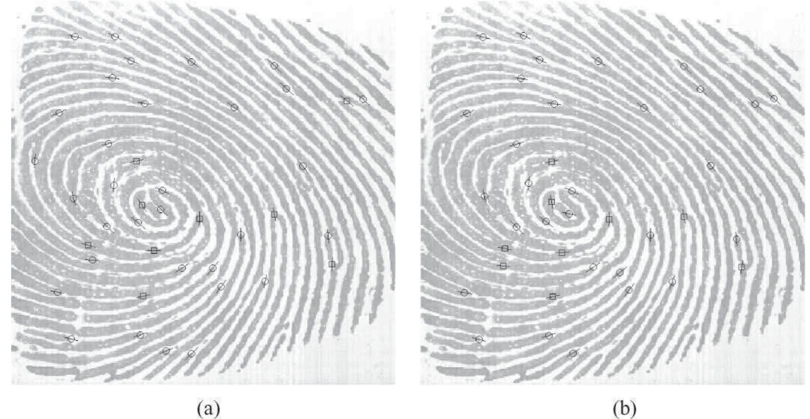 (PDF) Detecting the fingerprint minutiae by adaptive tracing the gray ...