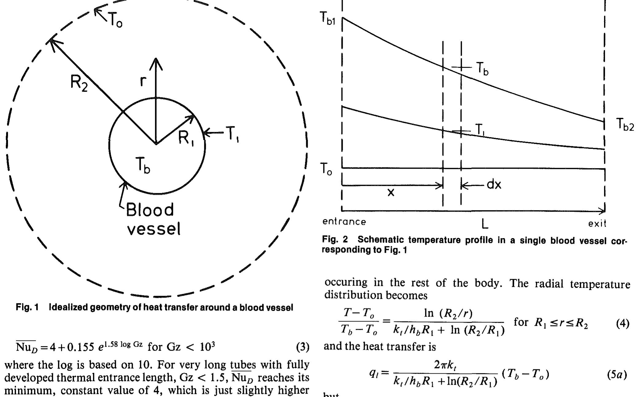 (PDF) Heat Transfer to Blood Vessels