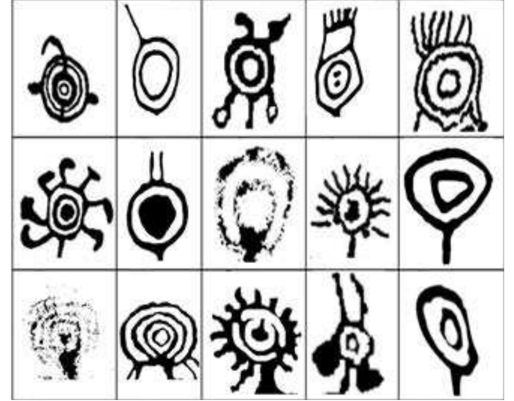 Coso pbas with concentric circles depicting head patterns,