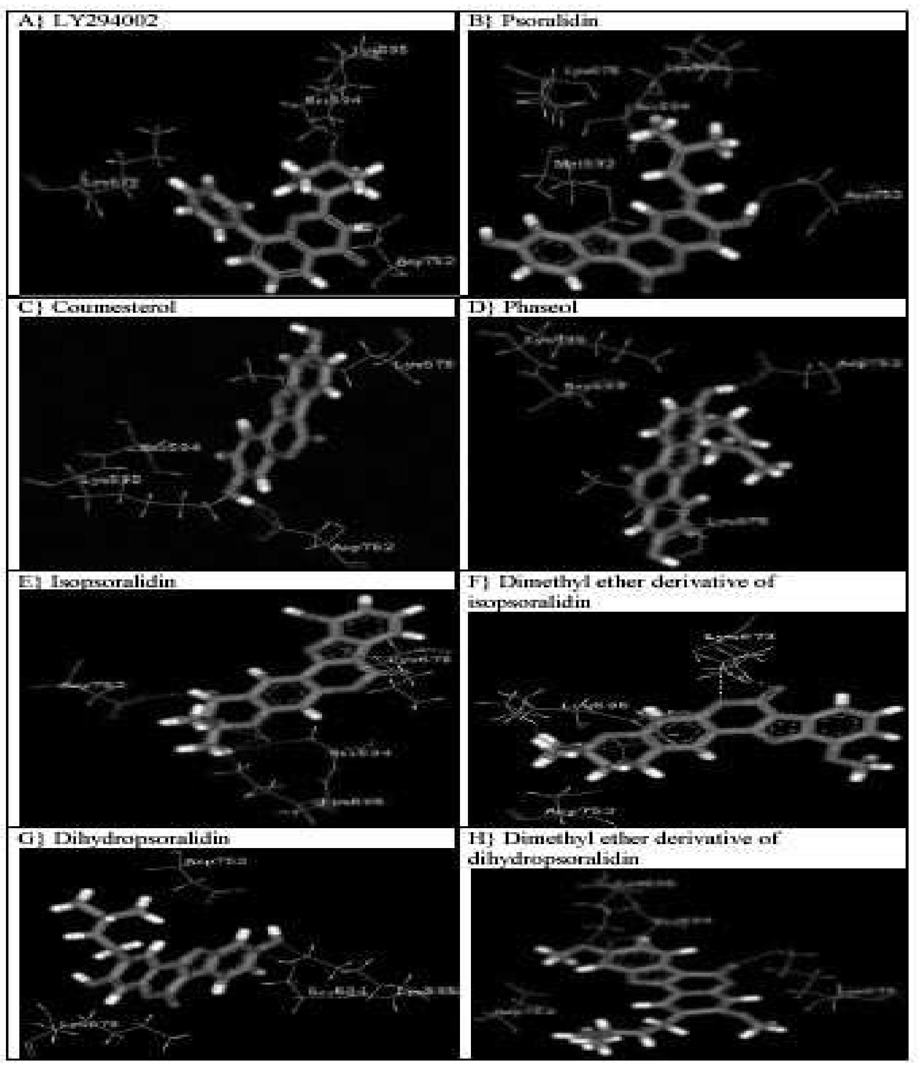 Pi3 Compound (PDF) In-silico Molecular Docking and Virtual Pharmacokinetic Screening ...