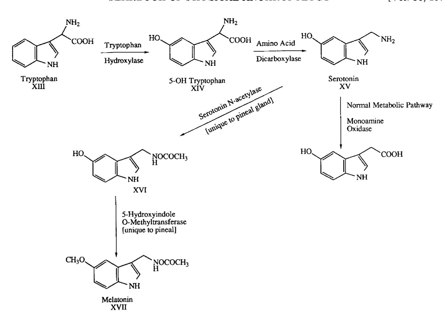 Fig. 7. Biosynthesis of serotonin and melatonin in pineal neurons. 