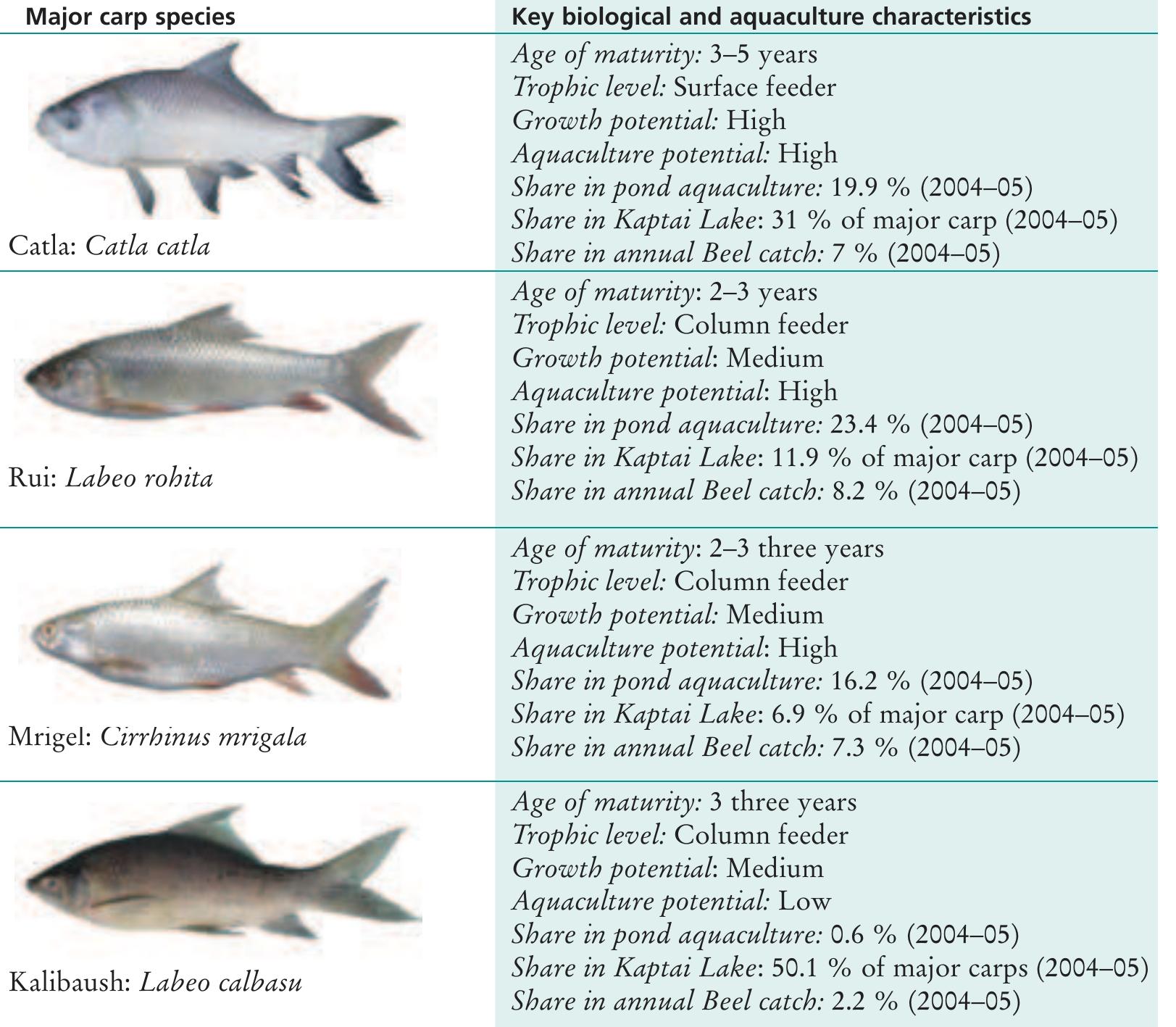 -our species of major carp of bangladesh with key biological