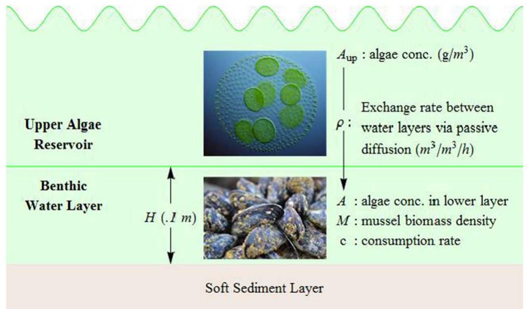 (PDF) Nonlinear stability analyses of Turing patterns for a mussel ...