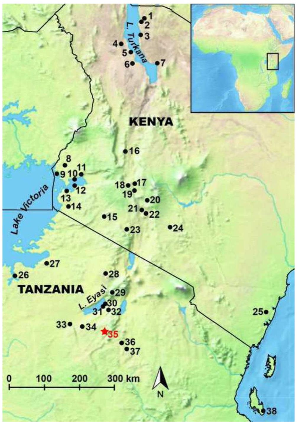 Fig. 1 Map of eastern Africa with sites discussed in the text and listed in Table S1. These include ceramic Later Stone Age (LSA) and PN sites with worked osseous or OES artefacts. Aceramic LSA sites with OES beads are common and are excluded here unless they also report worked bone or ivory. Numbers indicate single sites, or midpoint location of neighbouring sites, as follows: / FxJj sites, 2 GaJi sites and Il Lokeridede, 3 Jarigole, 4 Kokito sites, 5 Lopoy, 6 Lothagam, 7 Lowasera, 8 Siror, 9 Pundo, /0 Rangong, // Jawuoyo, /2 Kanam East and Kanjera West, 13 White Rock Point and Luanda, /4 Gogo Falls, /5 Oldorotua, /6 Ngenyn, /7 Hyrax Hill, Nakuru Burial Site, Lanet, and Lion Hill Cave, 78 Njoro River Cave, 19 Gamble’s Cave, Prolonged Drift, and Nderit Drift, 20 Naivasha Railway Rockshelter, 2/ Akira, 22 Salasun, 23 Narosura, 24 Lukenya Hill sites, 25 Mtsengo 01 and Panga ya Saidi, 26 Chole, 27 Nyang’oma, 28 Nasera Rockshelter, 29 Ngorongoro Crater Burial Mounds, 30 Gordfani sites, Endanyawishi, Gishimangeda Rockshelter, and Mumba Rockshelter, 3/ Jangwani and Gileodabeshta, 32 Endahakichandi, 33 Lululampambele Rockshelter, 34 Kirumi Isumbirira and Kwa Mwango, 35 Luxmanda, 36 Kandaga A9, 37 Lusangi 1 and Markasi Lusangi 2, 38 Kuumbi Cave. See Table S1 for references 
