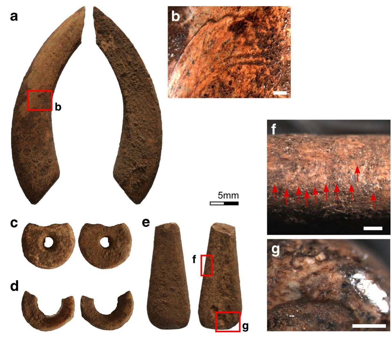 Perhaps most recognisable and unsurprising of the finds are two OES disc beads—both finished and subsequently frac- tured (stage 12 in Kandel and Conard (2005)’s scheme). These two examples share the same absolute width of 8.8 mm, though one (Fig. 2C) appears unifacially drilled and the other bifacially drilled (Fig. 2D) to create the central per- foration. Further differentiation is found in the diameters of each bead’s perforation: 1.3 and 3.4 mm, respectively. The ayer of sediment and use of these two beads prohibit an at- tempt at identifying whether they were perforated using a hafted or handheld drill (sensu Miller and Werner 2017). Further differences include edge morphology, with the more complete specimen having a curved cross-section (maximum thickness of 1.8 mm), while the other is squared-off with a 2.7 mm wide edge. These small differences result in beads that are quite different in overall appearance, perhaps indicating that they were made by two different people, and/or that at least two distinct techniques of OES bead manufacture—which  