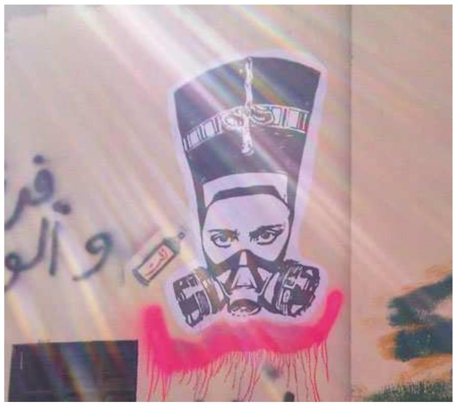 Fig. 6 Captured in October 2012. Photo Credit: Ranya Habib 