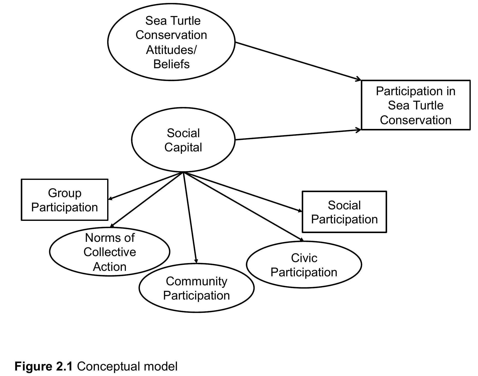 (Ovals represent latent variables and squares represent observed variables. ) 