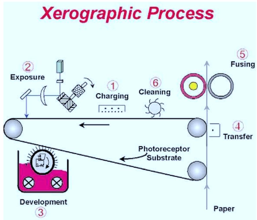 Xerogram Machine (PDF) The surface science of xerography