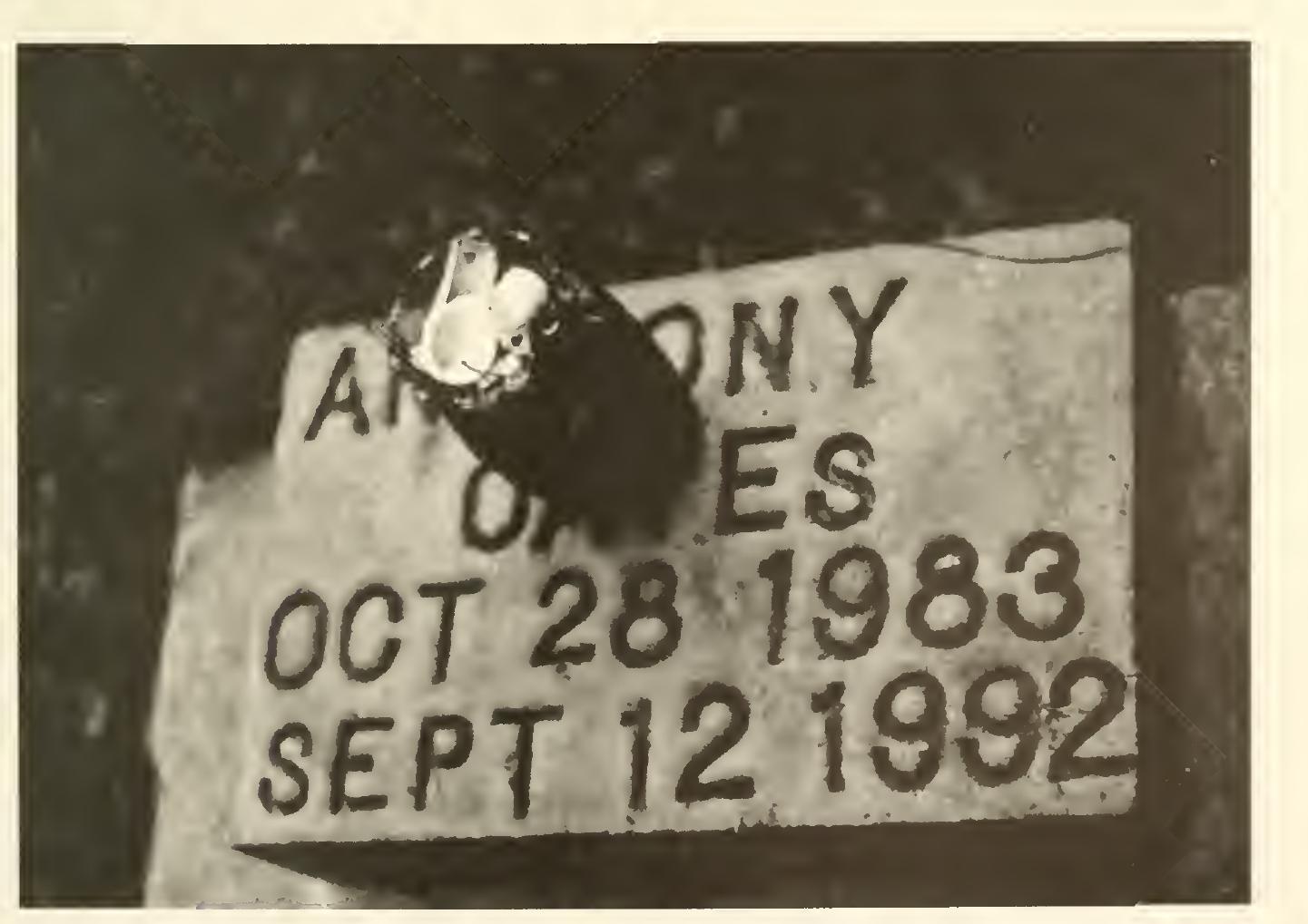 March 13th Monday Night PlayGround-LA Playbill – PlayGround-LA, image size:1441x1019