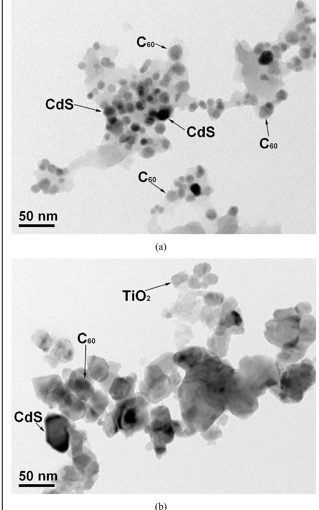 KOH Catalytic Degradation of Lignin over Sulfonyl-Chloride
