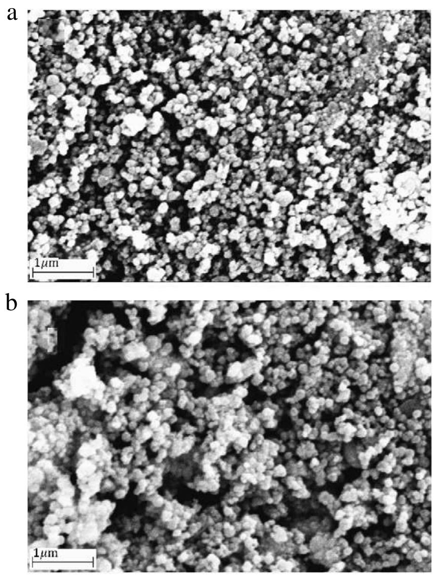 Figure 2: SEM images of MNPs (a) and ACMNPs (b).  Figure 1: Procedure for magnetic solid-phase extraction. 