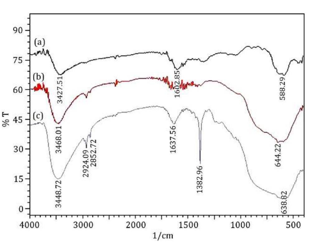 Figure 4: FTIR spectra of the MNPs (a), ACMNPs (b), and MBT/SDS-ACMNPs (c). 