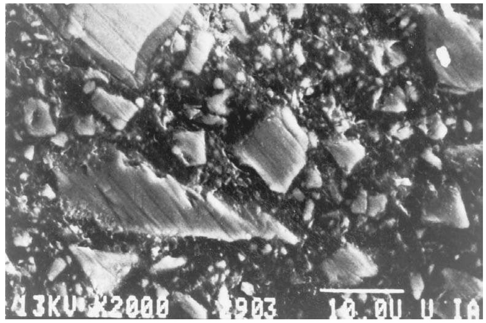 4 microstructure of a dental composite, miradapt® (johnson