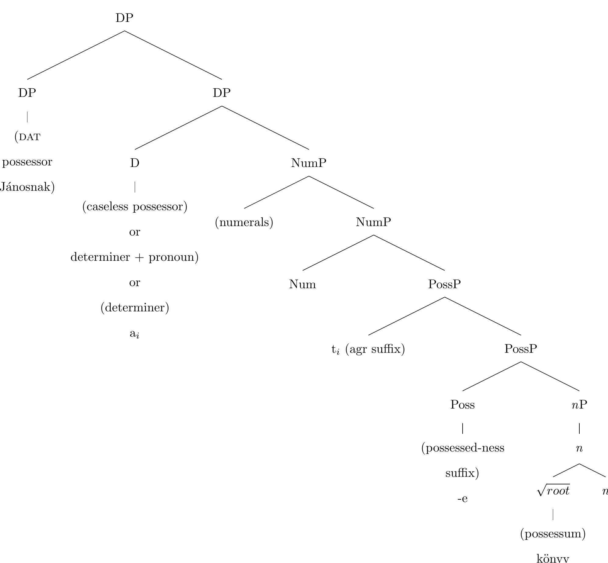Possession Syntax Tree (PDF) The Syntax of Middle and Late Egyptian Possession