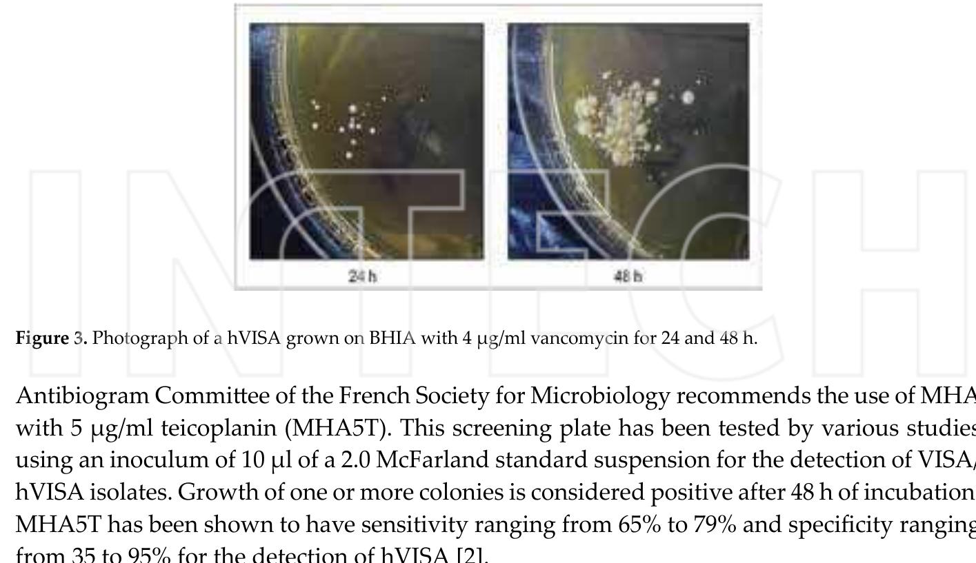 (PDF) THE RISE OF VIRULENCE AND ANTIBIOTIC RESISTANCE IN Staphylococcus ...