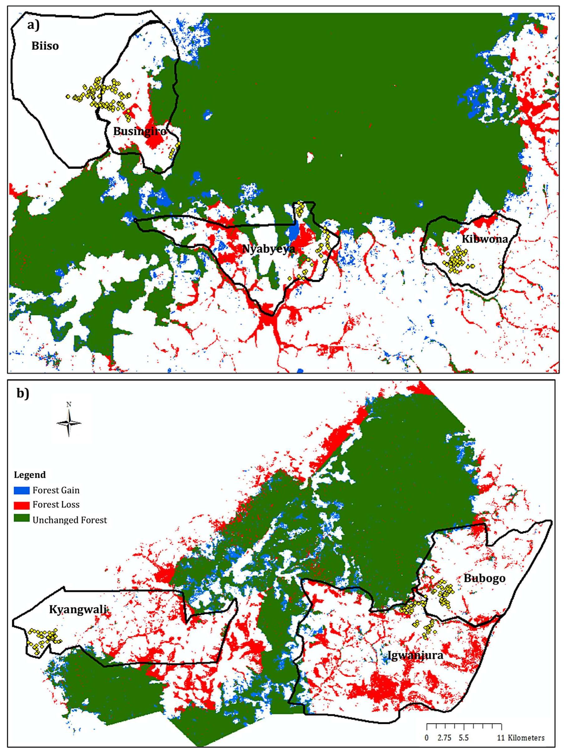 (PDF) Do livelihood typologies influence local perceptions of forest ...