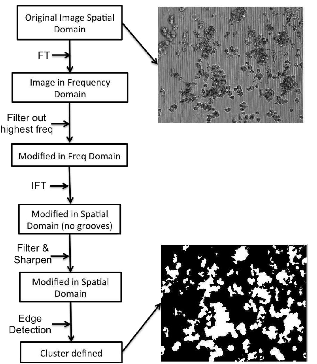 (nonclustered cells algorithm- ncc_alg) the steps followed