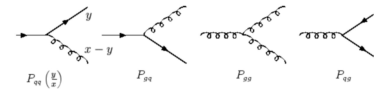 (PDF) QCD, Parton Model and Altarelli-Parisi equation | Academia