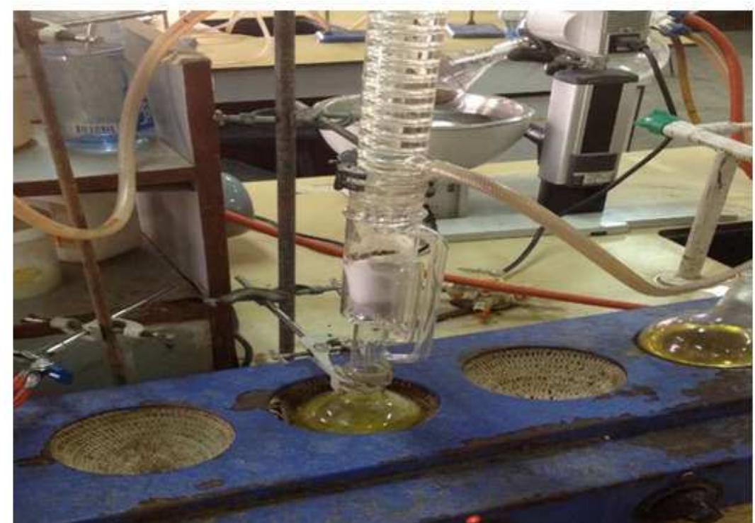 Mantle Extractor Example Shows the setup for the soxhlet apparatus where 200 ml of