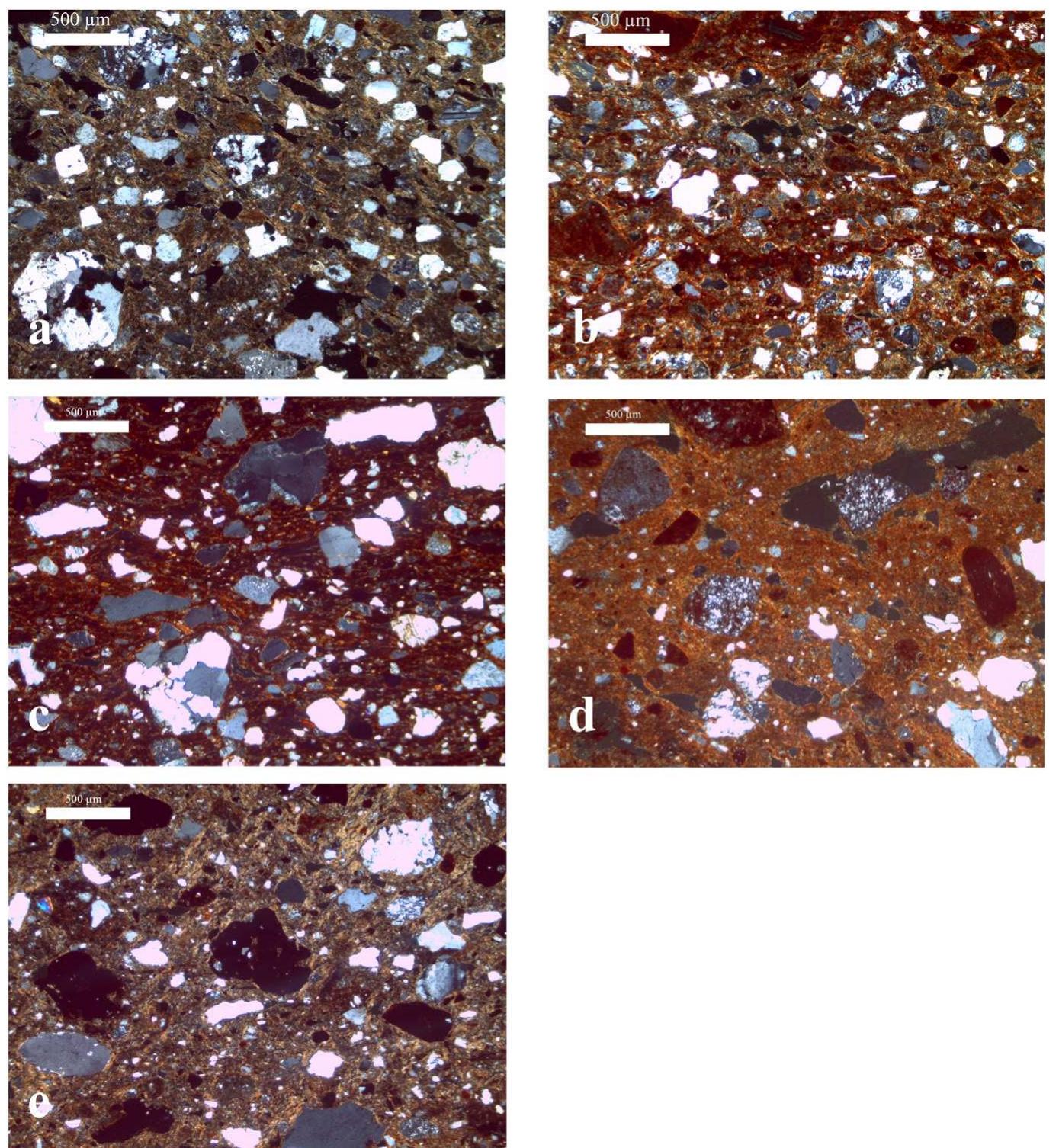 Coarse Inclusions Photomicrographs showing (a) the abundance of fine-grained