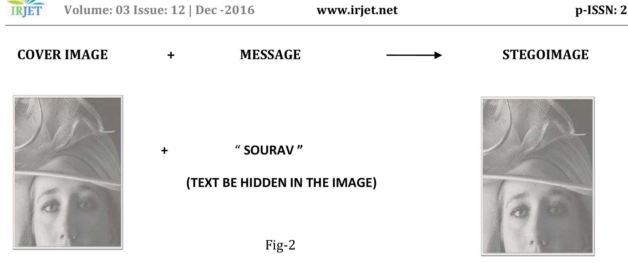 (PDF) IMAGE STEGANOGRAPHY USING LSB BIT-PLANE SUBSTITUTION