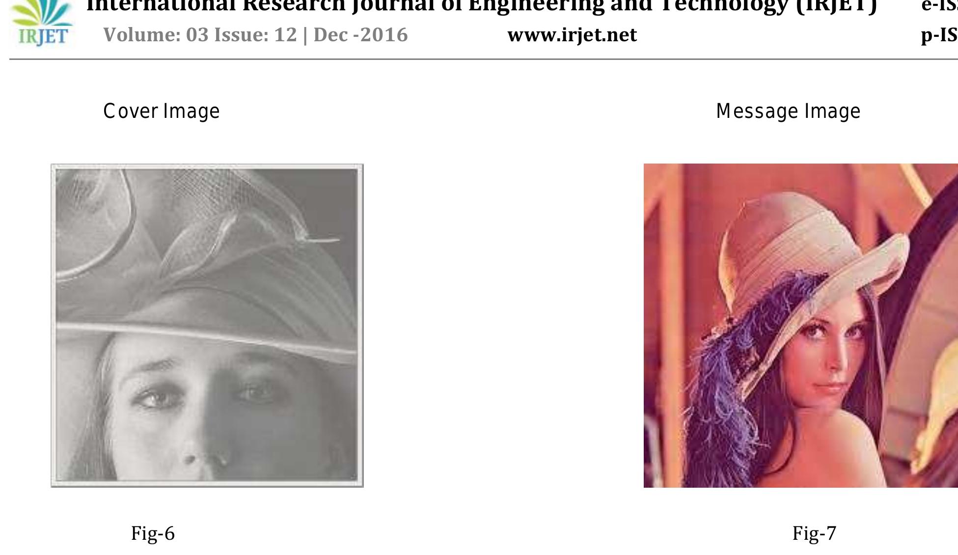 (PDF) IMAGE STEGANOGRAPHY USING LSB BIT-PLANE SUBSTITUTION
