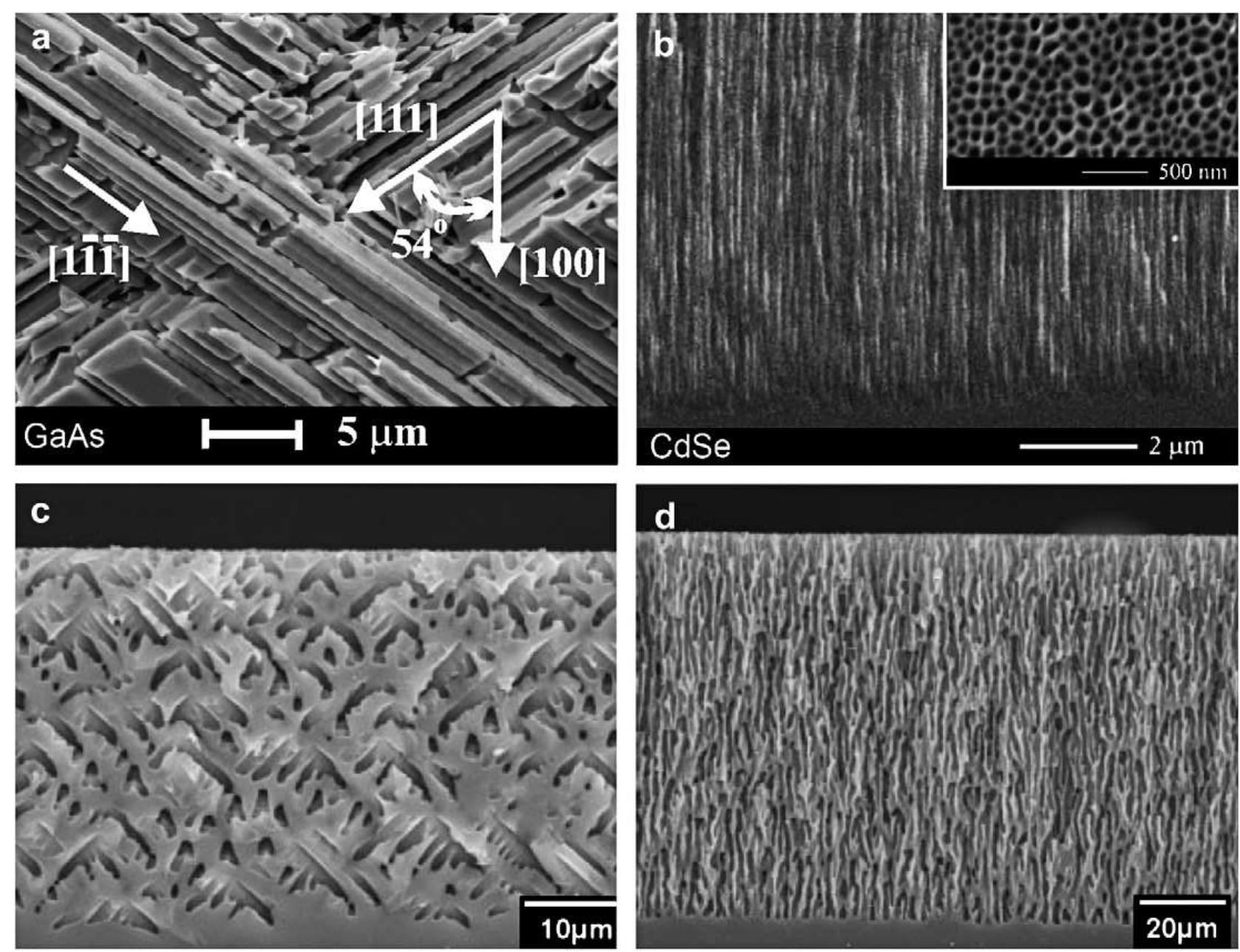 Sem top views (left) and cross-sections (right) of