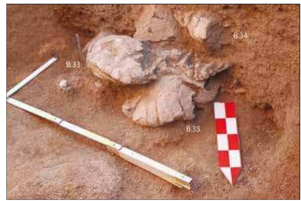 In 2015, Trench 6 (2.5 x 1.5m, max. depth 800mm) was excavated immediately adjacent to Trench 5 with the objective of uncovering the post-cranial parts of the deceased tentatively designated as B.33-B.36 (Plate 7; see also Plate 3). In the trench, embedded into the uppermost part of the subsurface deposits, were two large granite blocks; it is not clear whether they had been placed there intentionally in the past (as a grave marker?), or whether they had fallen from the outcrops that enclose this part of the site (see Plate 7). Lower down, at a depth of ¢ 400mm, incomplete remains of at least three probably juvenile individuals (B.37- B.39), as well as B.30 and B.31 whose elements had been recorded and collected in 2014, were uncovered along the northern edge of the natural slightly inclined granite ‘bench’ that formed the bedrock in more than  late 6. Skulls of B.33-B.35 projecting from the south-western section of Trench 5. 