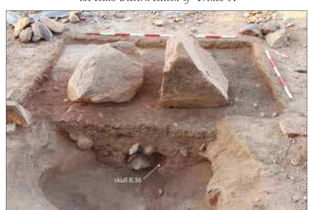 Plate 7. Trench 6 at the start of excavation in 2015. Three skulls of individuals B.33-B.35 were collected in 2014 from beneath the group of stones visible in the lower part of the newly uncovered south-western section of the former Trench 5. The skull of individual B.36, located further within (see the arrow), was left in its place in 2014. 