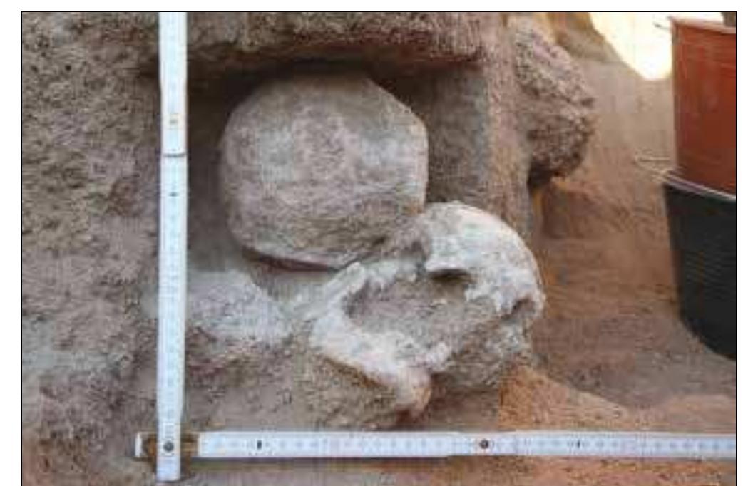 Plate 9. Detail of the skull of B.40 weighed down by a granite cobble. View from the south. 