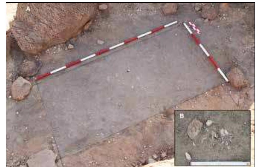 Plate 11. Trench 8: _A — after removal of the surface layer (view from the north east); B — detail of one of the clusters of gastropod shells 